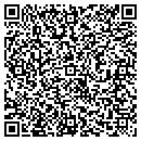 QR code with Brians Tire & Repair contacts