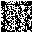 QR code with Premier Brass contacts