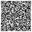 QR code with C & P Tel CO contacts