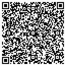 QR code with Pumpelly Tire contacts