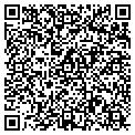 QR code with Stable contacts