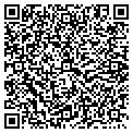QR code with Action Siding contacts