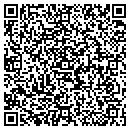 QR code with Pulse Entertainment Group contacts