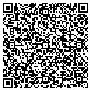QR code with Pyramid Landscaping contacts