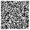 QR code with Bashas' contacts