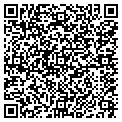 QR code with Willows contacts