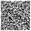 QR code with Public Storage contacts