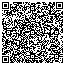 QR code with Public Service contacts