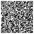 QR code with Program Car Sales contacts