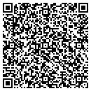 QR code with Carter Aviation LLC contacts