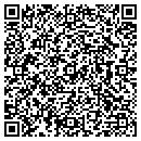 QR code with Pss Aviation contacts