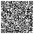 QR code with Willows contacts