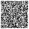 QR code with Willows contacts