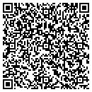 QR code with Push Play Dj contacts