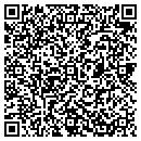 QR code with Pub Eagle Harbor contacts