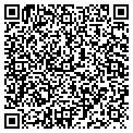 QR code with Wireless Toyz contacts