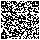 QR code with Public Self Storage contacts