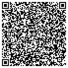 QR code with Blue Mobile Solutions contacts