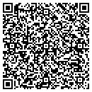 QR code with Professional Eclipse contacts