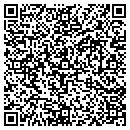 QR code with Practical Entertainment contacts