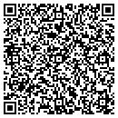 QR code with Professional Wind Surfer contacts