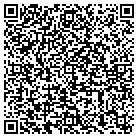 QR code with Blink Mobile-Western Co contacts
