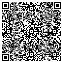 QR code with Casson Consulting Inc contacts