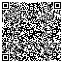 QR code with Cataract Lake Grocery contacts
