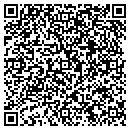 QR code with P23 Express Inc contacts