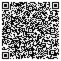 QR code with Buckle contacts