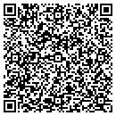QR code with Protek Electronics Inc contacts