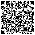 QR code with WOGX contacts