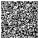 QR code with Cub Enthusiasts Inc contacts