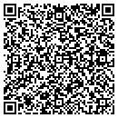 QR code with Blue Mobile Solutions contacts