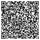 QR code with Premiere Electronics contacts