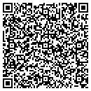 QR code with Premier Pool & Spa Inc contacts