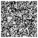 QR code with Blue Water Pools contacts