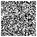 QR code with Blu Cove Pool & Spa contacts