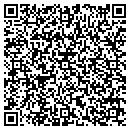 QR code with Push To Talk contacts