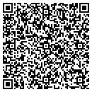 QR code with Carousel Pools contacts