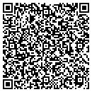 QR code with Pristine Pools & Spas contacts