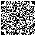 QR code with Sadies contacts