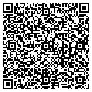QR code with Professional Pools contacts