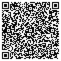 QR code with Vascor contacts