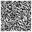 QR code with Pulse Entertainment contacts