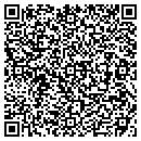 QR code with Pyrodrake Corporation contacts