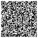 QR code with Blue Mountain Express contacts
