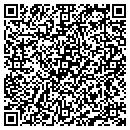 QR code with Stein's Ig Superette contacts