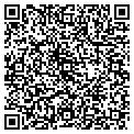 QR code with Codefin Inc contacts