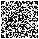 QR code with Pulse Entertainment contacts